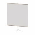 Blank portable projection screen