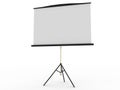 Blank portable projector screen