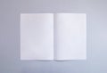 Blank portrait A4, US-Letter, brochure or magazine isolated on gray background