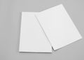 Blank portrait. white paper isolated on gray background. Poster mock-ups paper, identity design Royalty Free Stock Photo