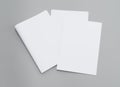 Blank portrait. white paper isolated on gray background. Poster mock-ups paper, identity design, set of booklets.