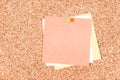 Blank post-it notes on a corkboard Royalty Free Stock Photo