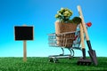 Blank poster and potted flower in a shopping cart with a garden spade and rake Royalty Free Stock Photo