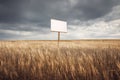 Blank Protest Sign in Field Under Cloudy Sky Royalty Free Stock Photo