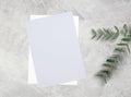 Blank purple sheet of paper on a concrete background with eucalyptus. Blank for invitation or postcard