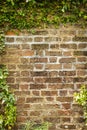 A blank red brick wall that is heavily weathered with green foliage