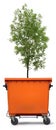 Blank refuse bin with green ash tree Royalty Free Stock Photo
