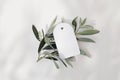 Blank round gift tag, price label mock-up scene with blooming green olive tree leaves, branch isolated on white table Royalty Free Stock Photo