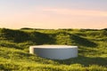Blank Round White Showcase on Green Grass at Heaven Meadow. Copy Space. Empty Space. 3d rendering Royalty Free Stock Photo