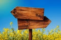 Blank Rustic Opposite Direction Wooden Sign in Rapeseed Field