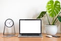 Blank screen of Laptop computer with clock, tablet, mobile phone, mouse and monstera plant pot Royalty Free Stock Photo