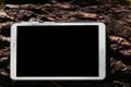 Tablet with blank screen on tree trunk outdoors. Royalty Free Stock Photo