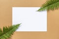 Blank sheet on beige background, fern leaves decoration. Top view, flat lay