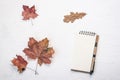 Blank sheet clipboard with copy space for text. Dry leaves on white background. Flat lay, template for social media Royalty Free Stock Photo