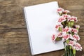 Blank sheet of notebook and red and white carnation