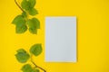 A blank sheet in a notebook, top view, a branch with leaves on a bright yellow table. Mockup