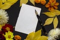 A blank sheet of white paper and a fountain pen Royalty Free Stock Photo