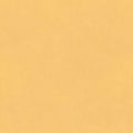 Blank sheet of yellow kraft paper. Kraft paper texture. Seamless paper pattern. Carton background