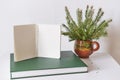 Blank sheets of opened notepad on green book, bouquet of christmas tree branches in clay mugn Royalty Free Stock Photo