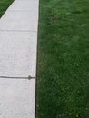 blank sidewalk half and half with green grass on the side Royalty Free Stock Photo