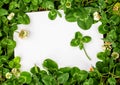 Blank sign with natural fresh shamrocks border and four-leaf clover in the center. Royalty Free Stock Photo