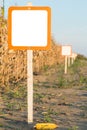 Blank sign next to corn maize field, agricultural concept Royalty Free Stock Photo