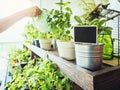 Blank sign on Pot Plants with hand watering Home garden