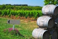 Vineyard Vines Wine Barrels and Signage Royalty Free Stock Photo