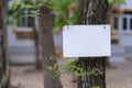 Blank sign on tree in the wood park