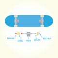 Blank skateboard and parts isolated vector