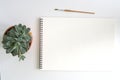 Blank Sketch Pad and Succulent Plant Royalty Free Stock Photo