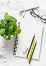 Blank sketchbook, colored pencils, wooden frame, glasses, earphones and melissa flower pot on light background, top view. Cozy sti