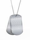 Blank soldier dogtags isolated on white background. 3D illustration