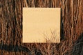 Blank space for text on piece of cardboard placed among dried twigs