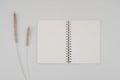 Blank spiral bound sketchbook or journal or diary with Bristly foxtail dry flower. Mock-up of stationary. Top view of empty