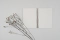 Blank spiral bound sketchbook or journal or diary with Limonium dry flower. Mock-up of stationary. Top view of empty drawing book