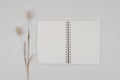 Blank spiral bound sketchbook or journal or diary with Rabbit tail dry flower. Mock-up of stationary. Top view of empty drawing