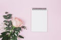 blank spiral notepad with rose gypsophila flower against pink background. High quality photo