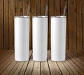 Blank Stainless Steel Tumbler