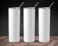 Blank Stainless Steel Tumbler