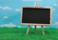 Blank standing chalkboard on grass with clear sky