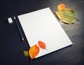 Blank stationery, autumn leaves Royalty Free Stock Photo