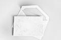 Blank stationery: card and envelope