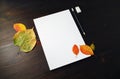 Blank stationery set Royalty Free Stock Photo