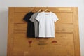 Blank t-shirts presentation Royalty Free Stock Photo