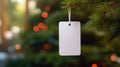 Blank Tag on Pine Tree