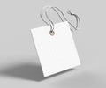 Blank tag tied with string. Price tag, gift tag, sale tag, address label isolated on grey background. 3d render illustration Royalty Free Stock Photo