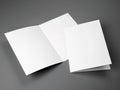 Blank template of folded brochure A4 Size