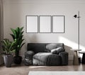 blank three frames mock up in modern living room interior with gray sofa, wooden furniture and palm tropical leaves, 3d rendering