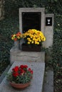 Blank tombstone in an old cemetery. Royalty Free Stock Photo